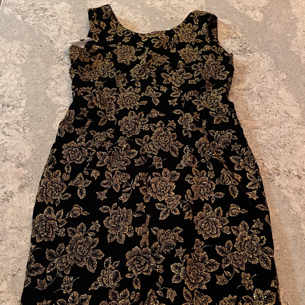 Vintage Velvet and gold detail dress nye